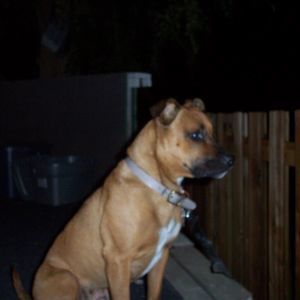 Meet your Posher, Lynn